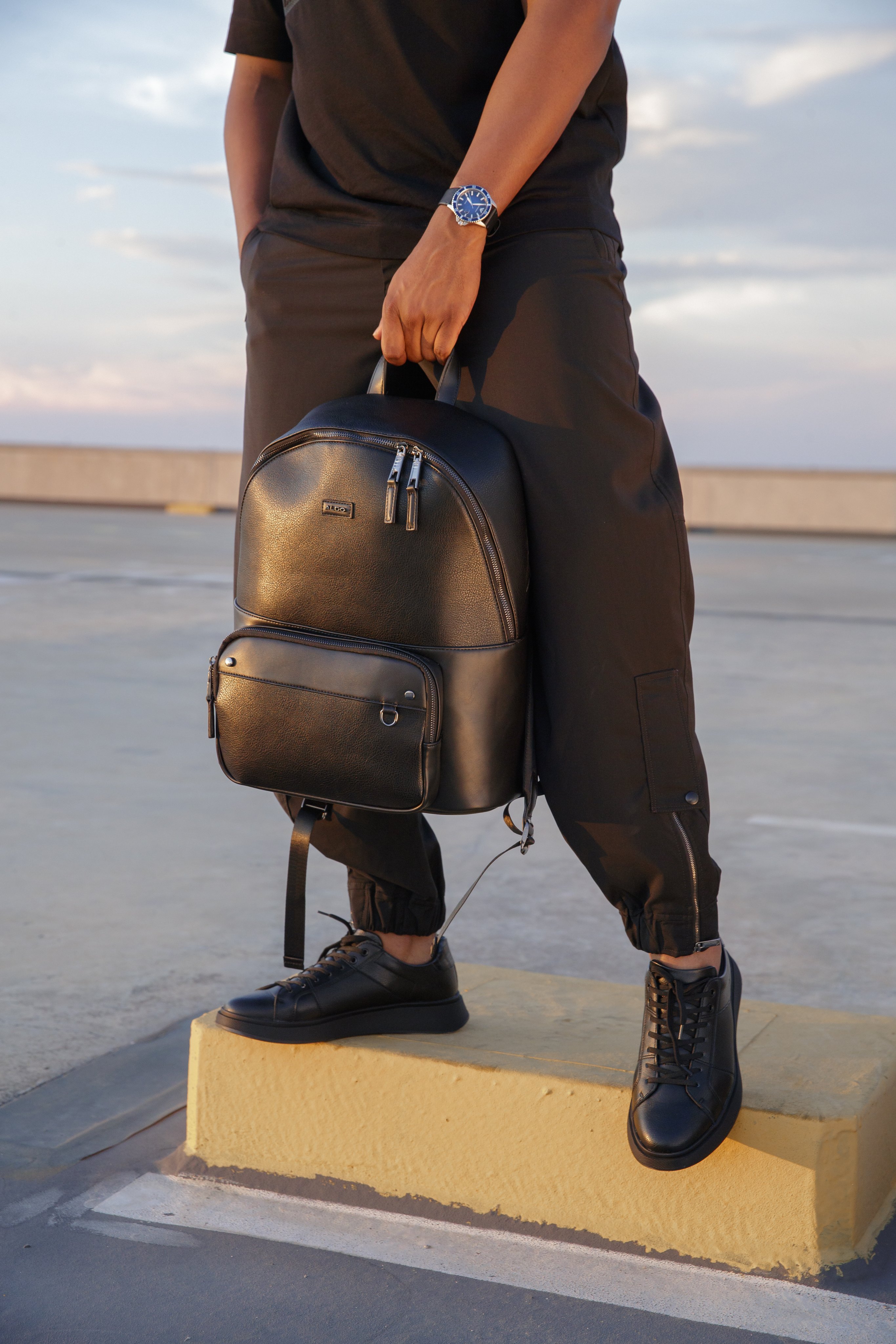 Aldo lucidus backpack sale