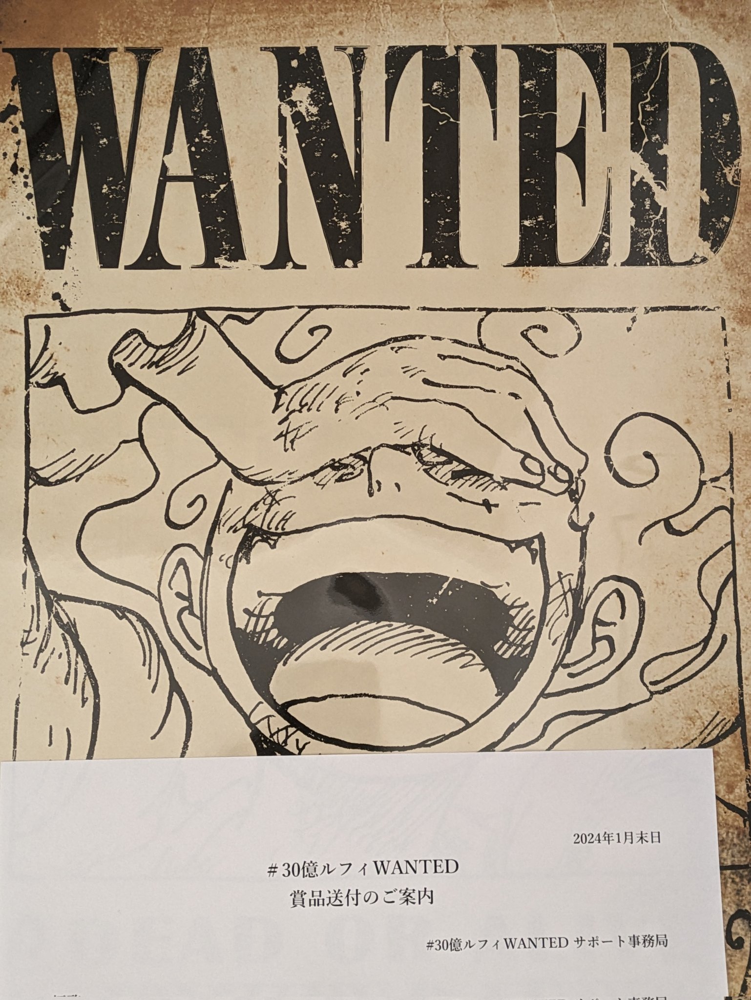ONE PIECE スタッフ【公式】/ Official on X: 