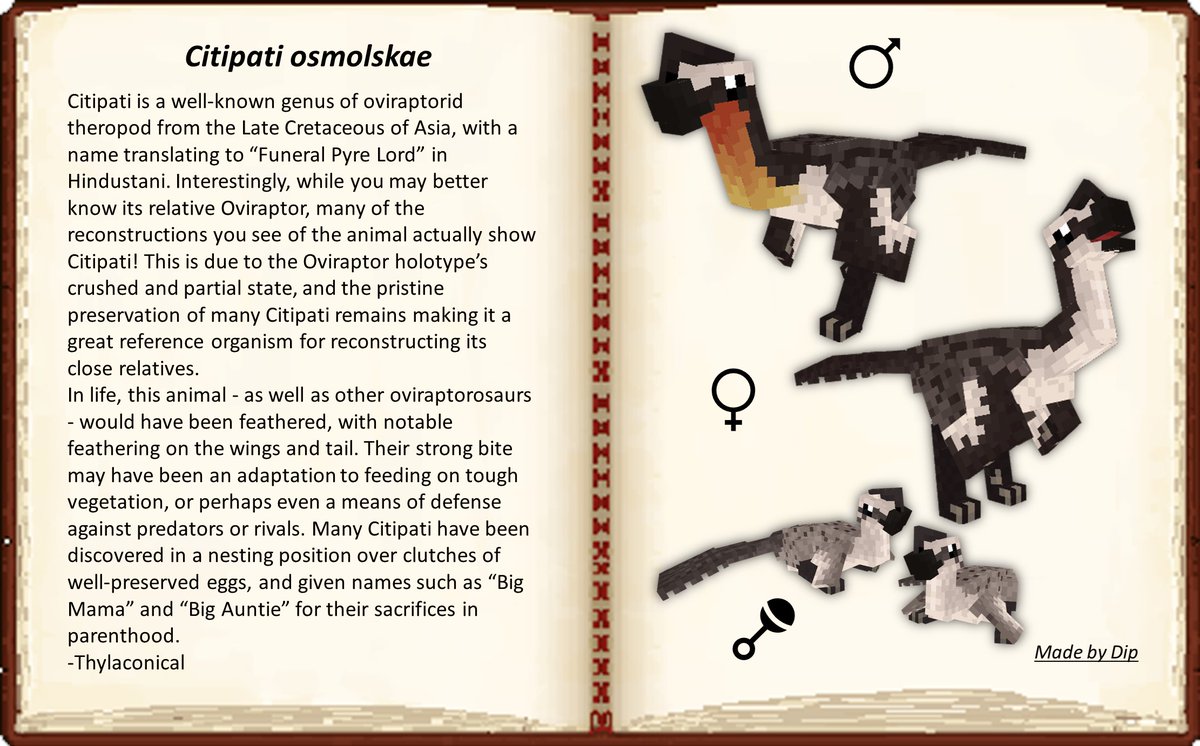 FossilsRevival's tweet image. #MinecraftModding #Blockbench #Minecraft #Dinosaurs #Paleontology 

TWO IN ONE!!!
Miragaia &amp;amp; Citipati!