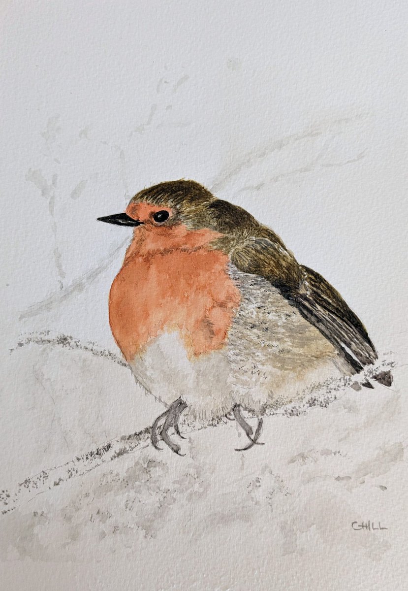 Finally finished my little robin painting 🎨 #watercolour