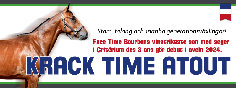worldtrot.se tweet media