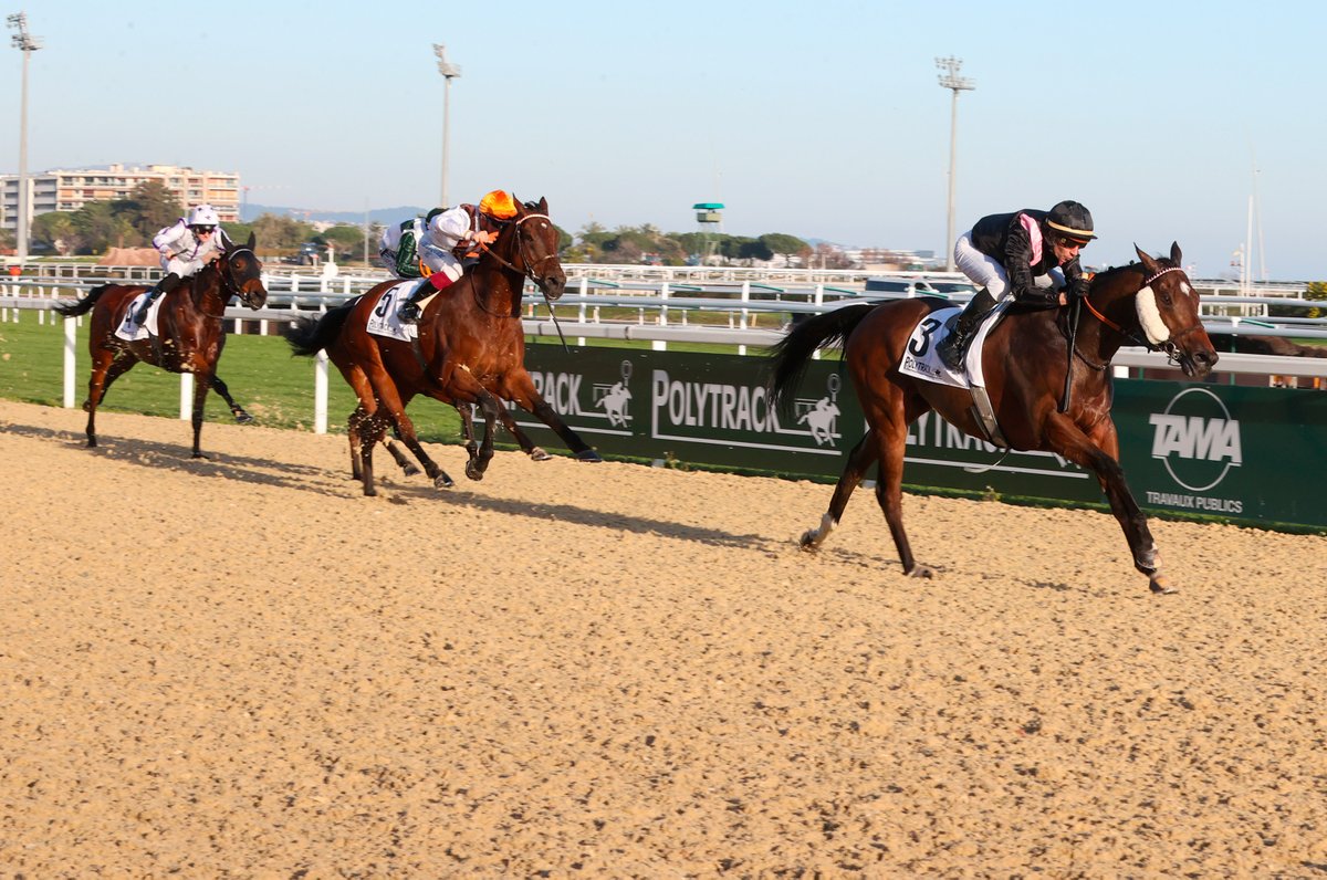 Le roi de @hippocotdazur, HOOKING (Lope de Vega @BallylinchStud) conserve son titre dans le Grand Prix Riviera Côte d’Azur - Jacques Bouchara - Finale Polytrack Challenge (L) avec @RonanThomass. Entraîné par @PDecouz, il appartient à @AntoGriezmann. @InfoArqana 📸 J-M. Tempier.