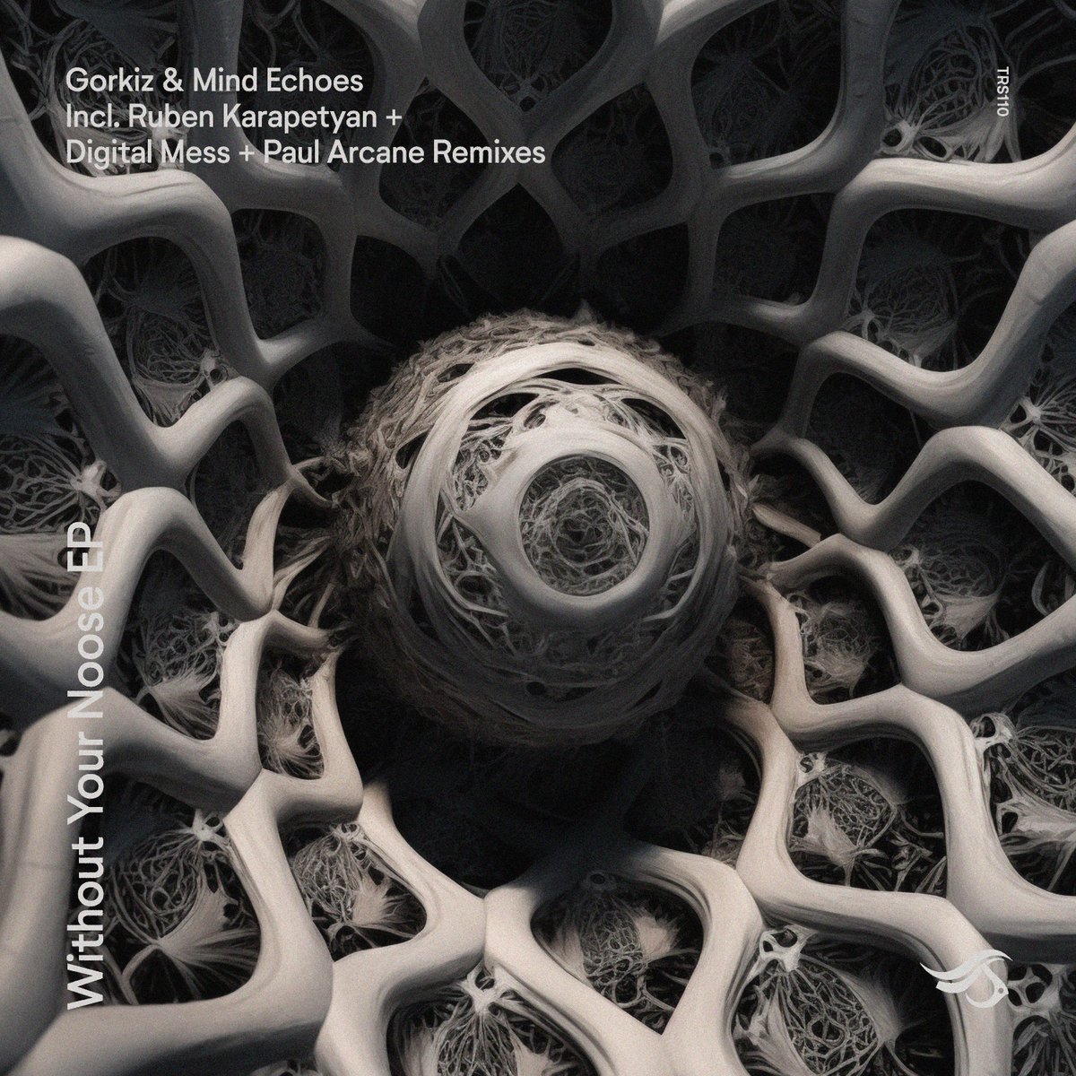 first release of 2024 is out now 🎧 my remix for Gorkiz & Mind Echoes on @transensations Records (label debut!) this is 'Without Your Noose' (Paul Arcane Remix)