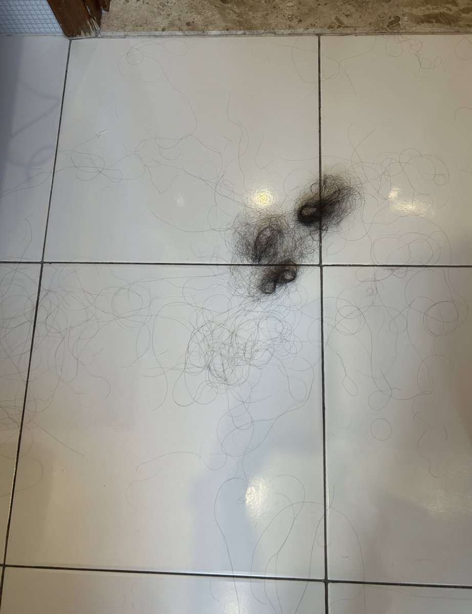 Iszaf's tweet photo. “Estou ótima, melhor momento da minha vida”

Meu cabelo pós escova: https://t.co/p21qu02Tit