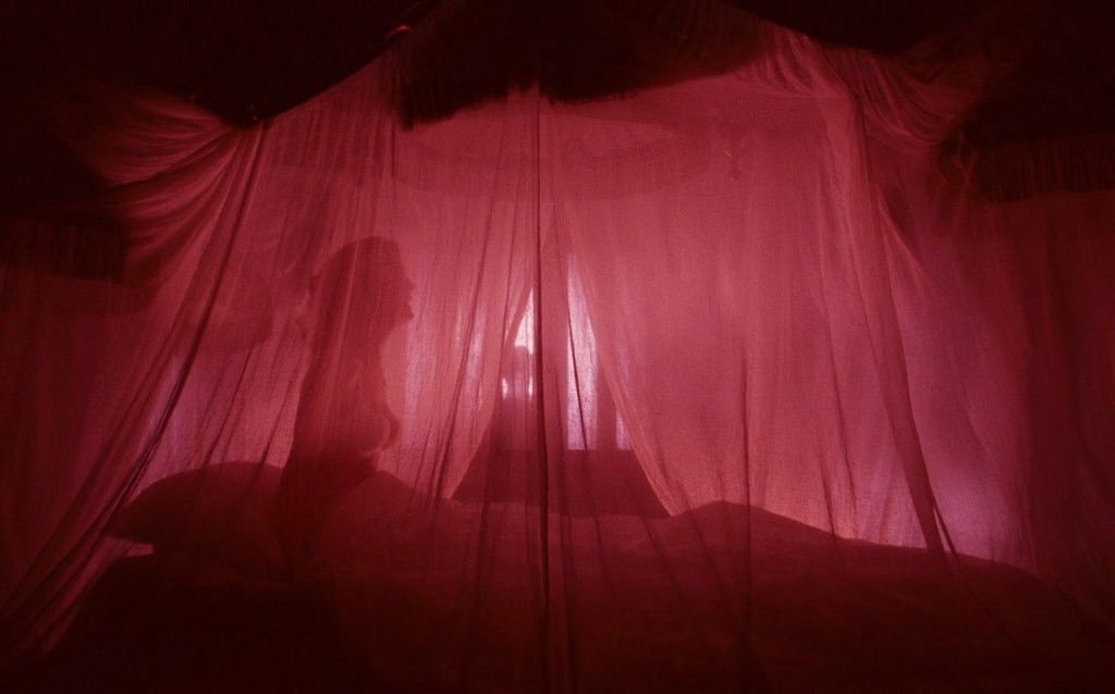 cinesthetic. tweet media