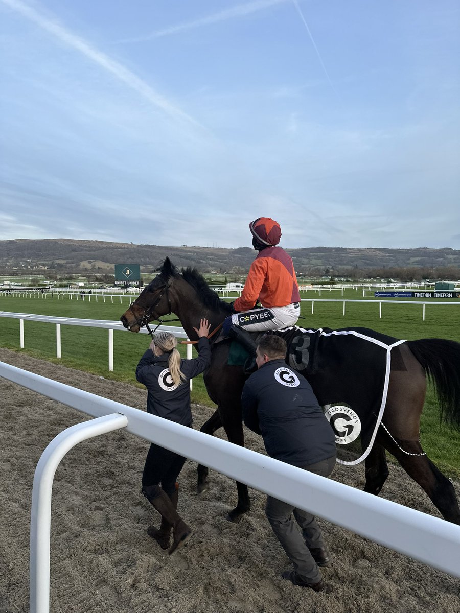 jtoneysbeat's tweet photo. 45 sleeps till next time.
Gidleigh Park delivers on #TrialsDay @CheltenhamRaces https://t.co/ej6OpjtFgO