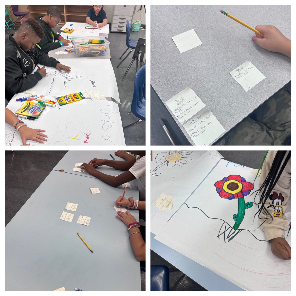 Collins077's tweet photo. Check out @WestRivieraES @McKnight_WRES small group plant posters &amp; BRAIN🧠DUMP SCRATCH PAPER✅. Making sure students are SSA READY! @pbscience4u @Area4SuptPBCSD @evacwynar @MathSdpbc #science🧑🏽‍🔬 #lovethis💚@SHigginsWRES https://t.co/Ite5tBINeQ