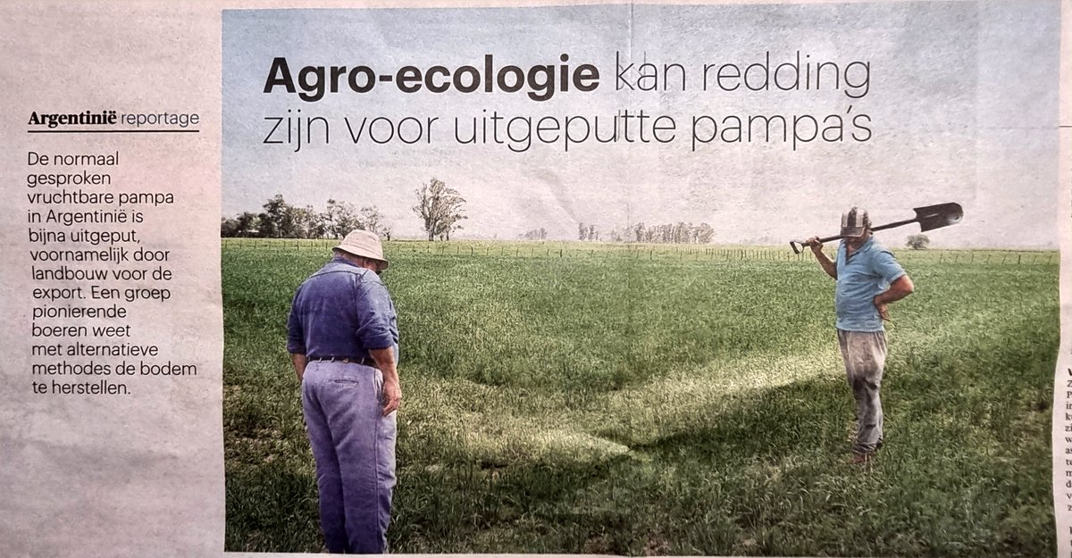 RuudBodem's tweet photo. Biologische landbouw krijgt vaak als tegengeluid dat de oogst lager is, wat nu ook nog wel het geval is.
Als tegen tegengeluid breng ik in dat gangbaar in een dalende tendens zit, grond deels al onbruikbaar wordt. Die lijn moet je wel verdisconteren.
Een voorbeeld uit Argentinië. https://t.co/nTu2PAyXs9