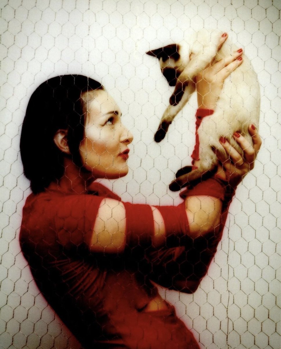 DailySiouxsie's tweet photo. https://t.co/Z7v8YpvGwZ