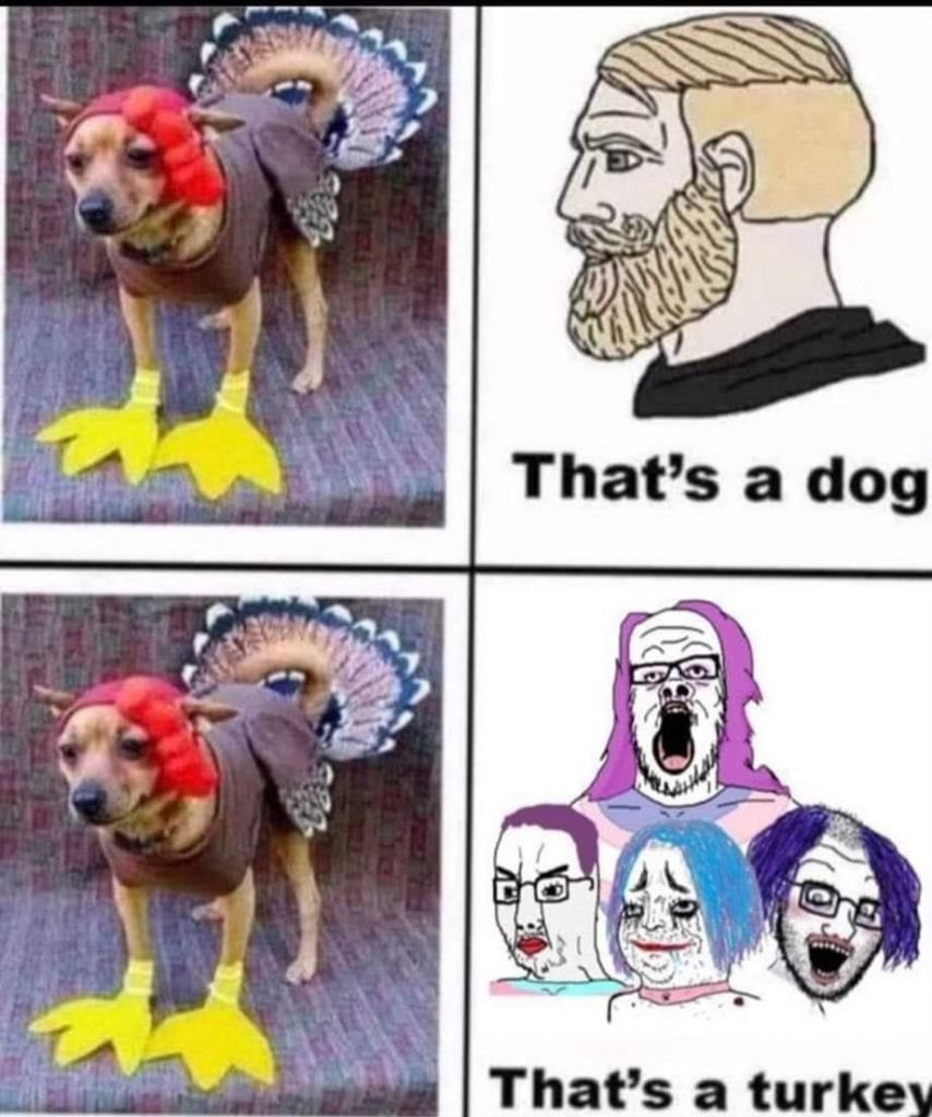 GE3PSFvXgAA6GU_?format=jpg&name=medium