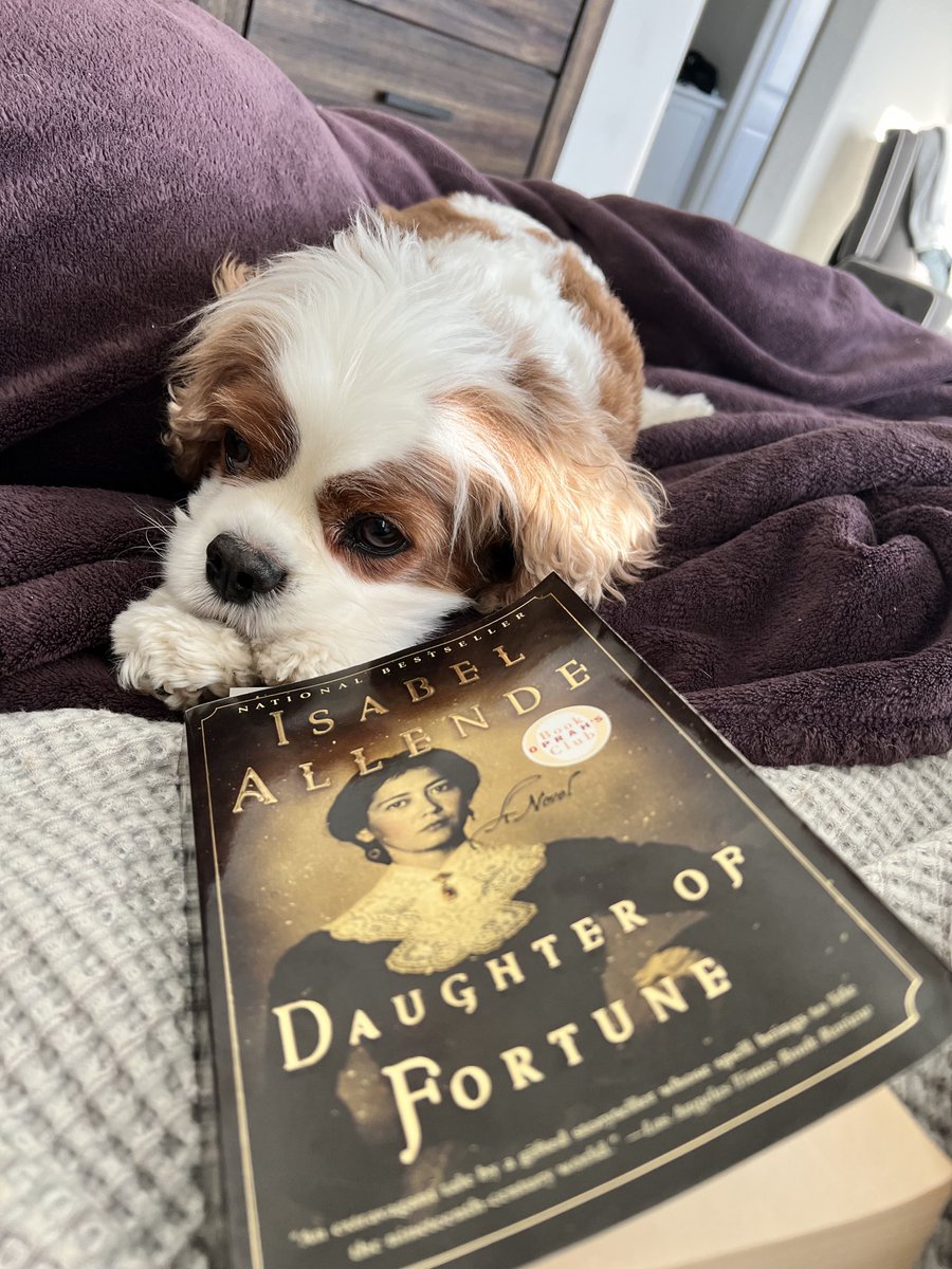 Oliver’s getting ready for the book club meeting tomorrow!