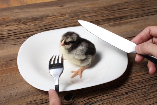 KyleM0876's tweet image. Lunch so good today #blessed #moreplease #RIP