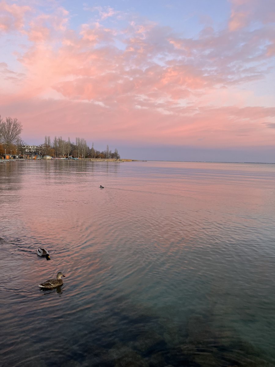 simonkrisz92's tweet photo. Télen is jó a #Balaton🩵 https://t.co/4GlzcEiIzG