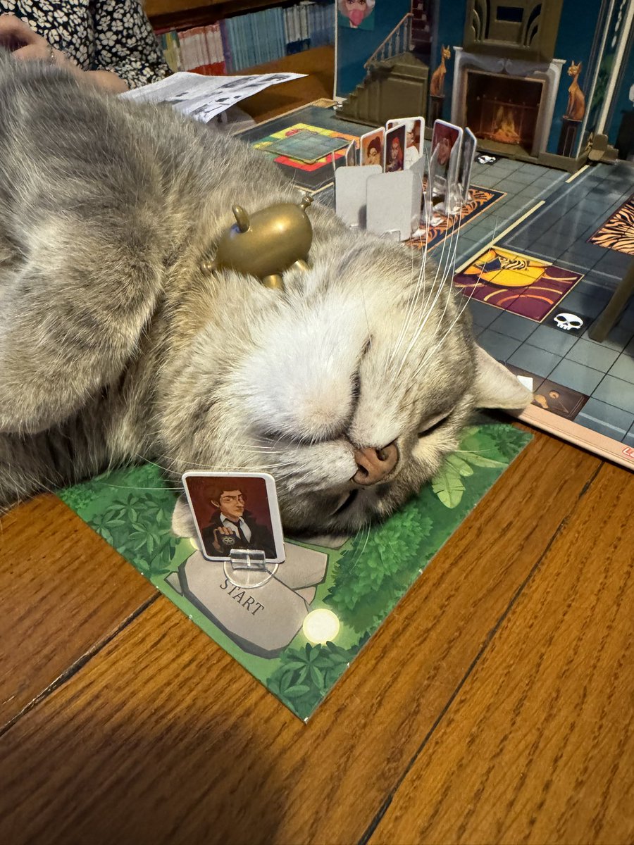 Lesp’titspoilus🐾 tweet media