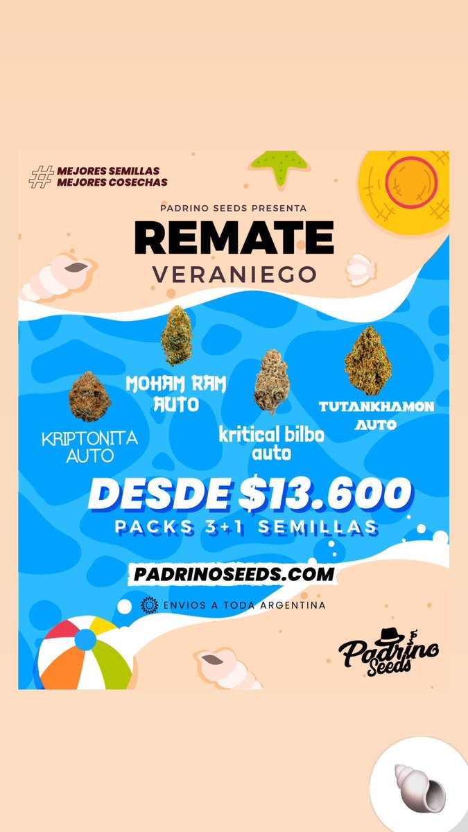 Buenas Tardes Familias Promos De Verano 2024🌱🍃💦💫🫧☘️🌸
padrinoseeds.com 🌱🌈🍄