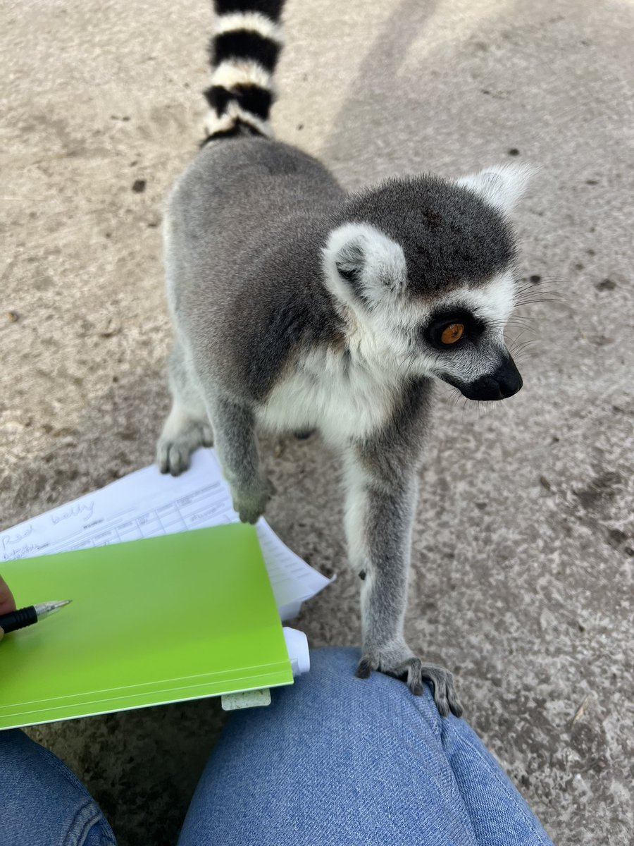 _Laboleyn's tweet image. Data collection in a walkthrough has its perks (and difficulties)