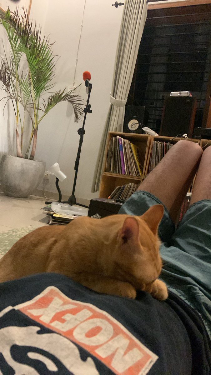 Raditya Rio tweet media