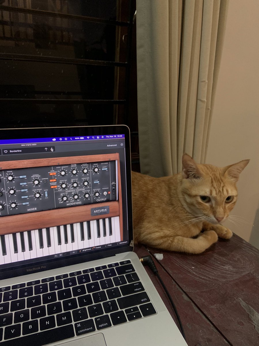 Raditya Rio tweet media