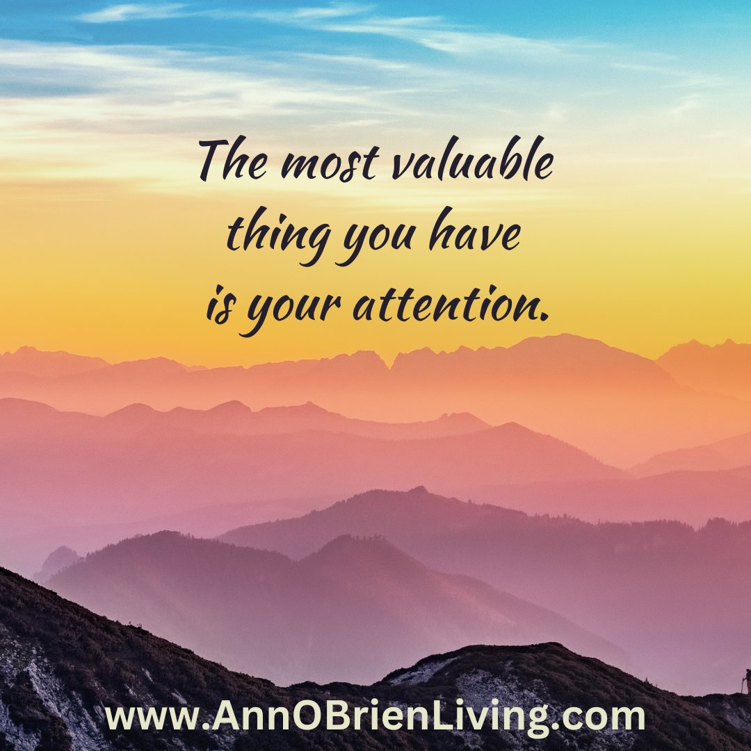 AnnOBrienLiving's tweet photo. Your experience is determined by what you focus on. 😉 https://t.co/6HrQ3BTvfY
