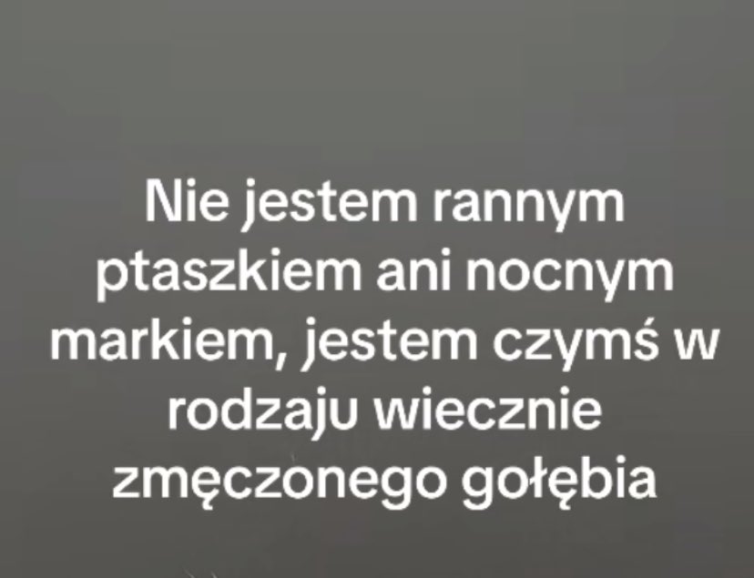 summermoonslar's tweet photo. reluje https://t.co/iiwObq6wXK