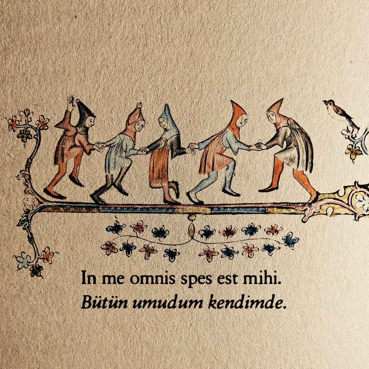 Maria Puder tweet media