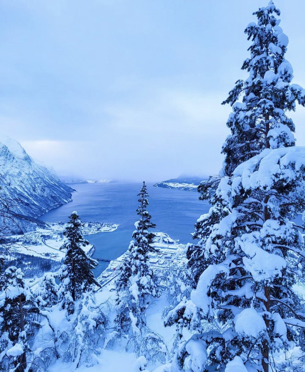 Norveç’te Kış ❄️ 📸