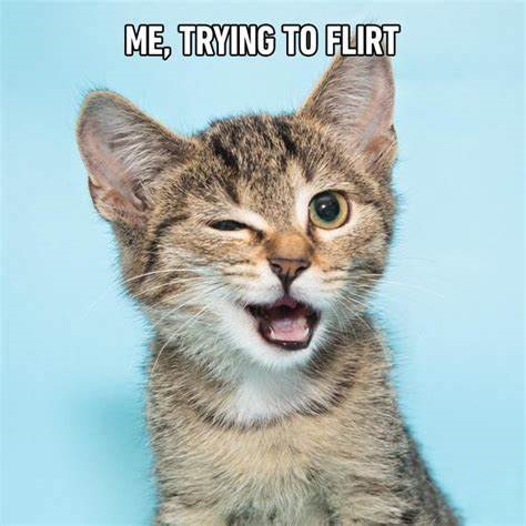 me too

#Memes #CatsOnTwitter #catlover #catlovers #kitten #kittens #pets #petlovers #petparadise #petshop #FYP #petmeme #cat #dog #doglovers #catmama