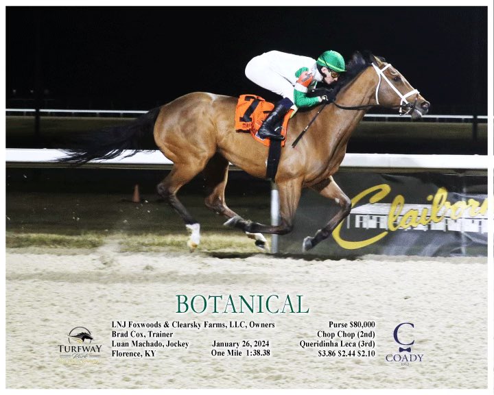🌸BOTANICAL: Queen of Turfway🌺
Her great return to the races after an 8 month layoff is now 5-5 at her home track! Thank you, <a href="/MargauxFarm/">Margaux Farm</a> and the <a href="/bradcoxracing/">Brad H. Cox Racing</a> team. Congrats to our partners <a href="/ClearskyFarm/">Clearsky Farms</a> and jockey <a href="/luanmachado85/">Luan Machado</a>
PC: @CoadyPhoto