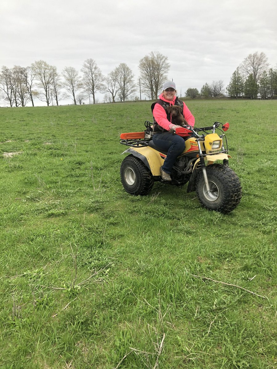 Lukas Grove tweet media