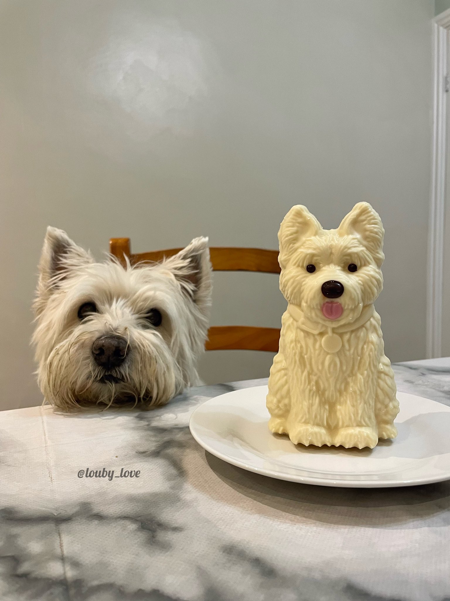 Westie 2025 cake topper