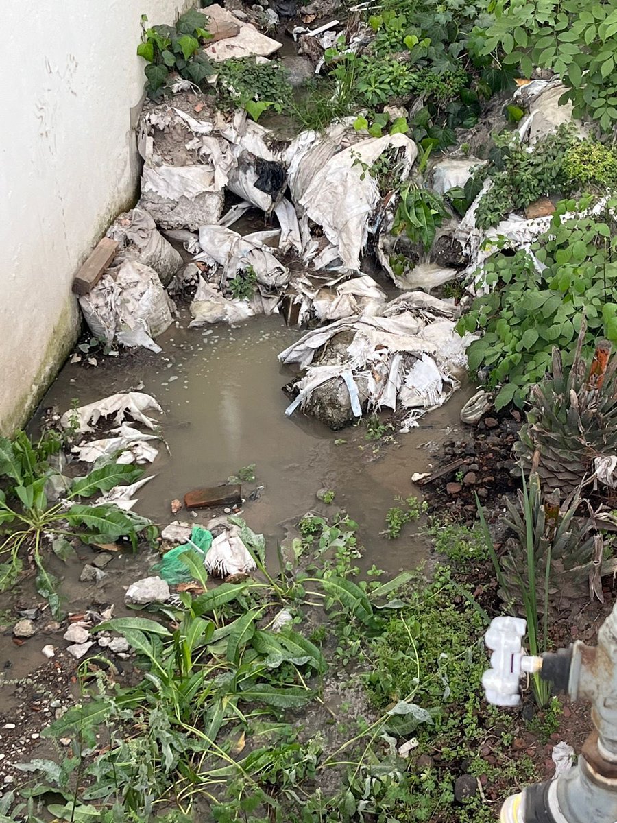 lallenadeodio tweet media