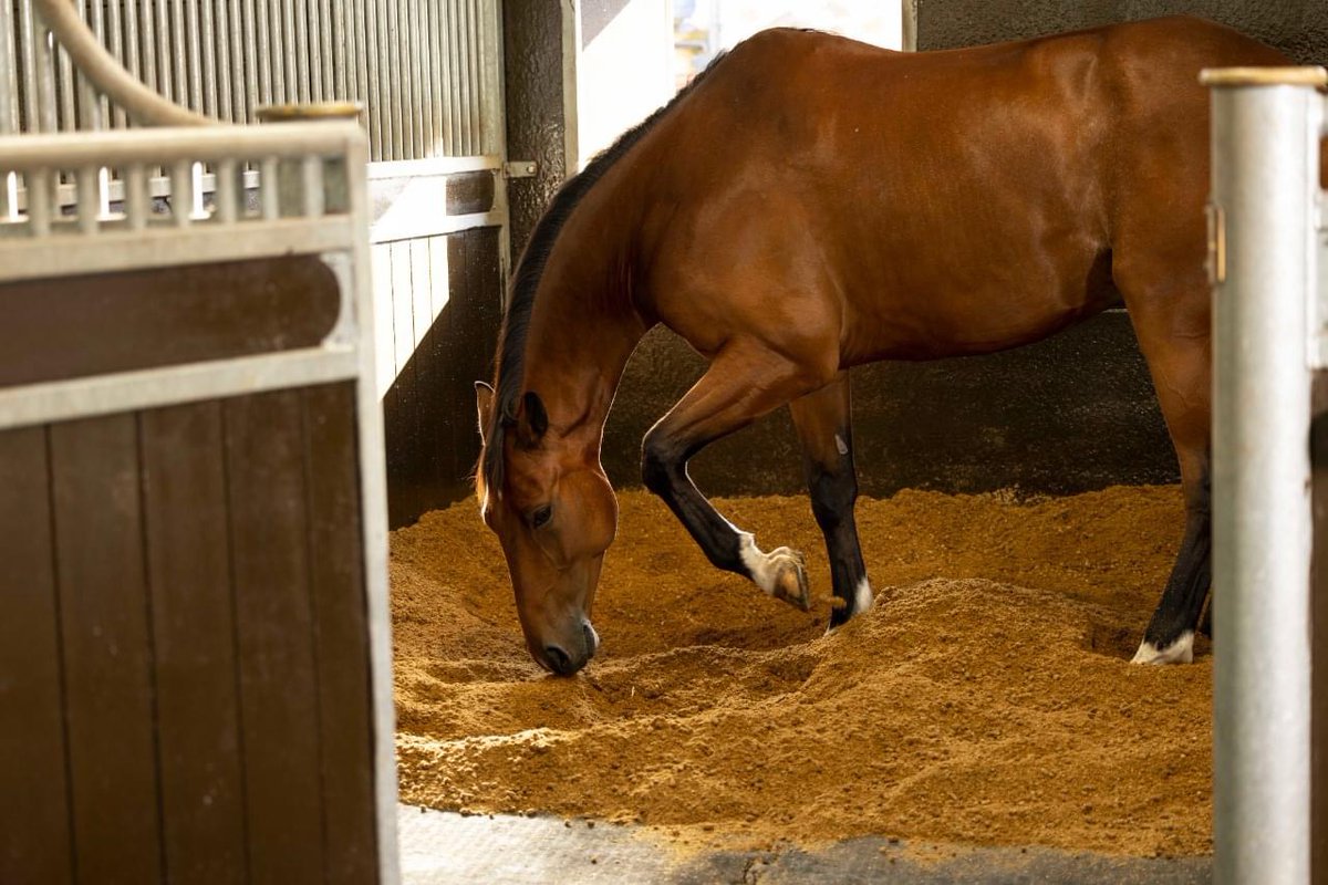C A R B O N  F O O T P R I N T
Pellets for days 

Did you know, the wheat straw for Strawmax is sourced within five miles of our factory which minimises our carbon footprint?

To find out more about our carbon footprint visit ➡️bedmaxshavings.com/esg/
#strawmax #carbonfootprint
