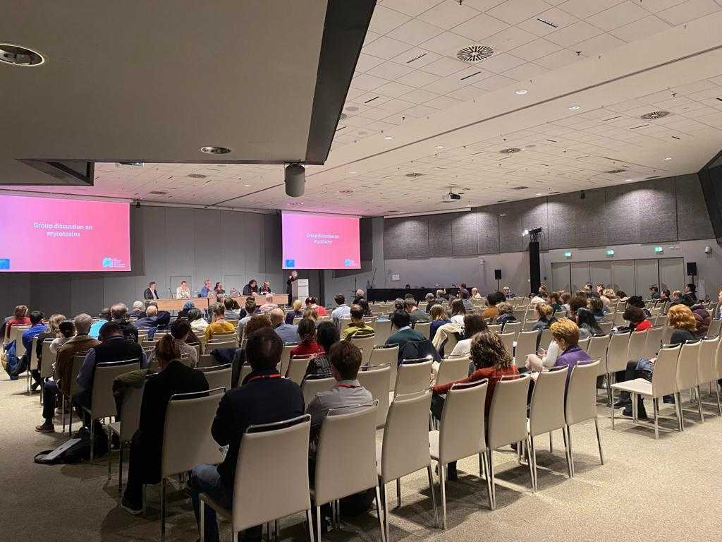 Advances Against Aspergillosis and Mucormycosis tweet media