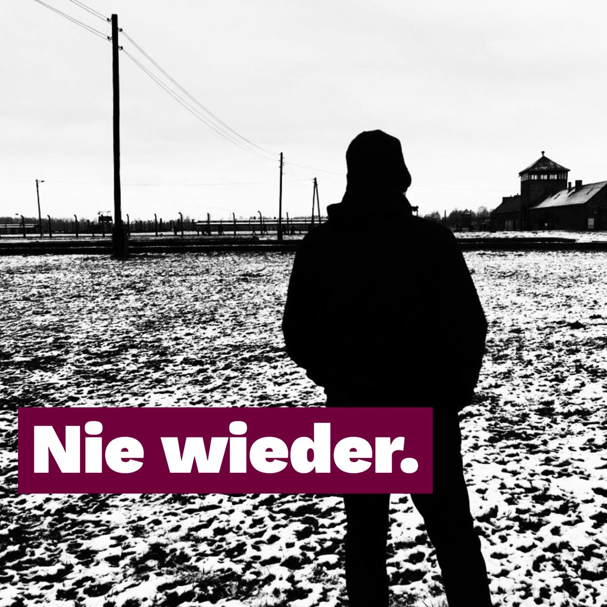lgbeutin's tweet photo. 2018 habe ich #Auschwitz besucht. Nie wieder werde ich die Bilder vergessen, von Koffern, Brillen, Haaren 😢 Dass Auschwitz nie wieder sei, wir die Erinnerung bewahren, um im Hier &amp; Jetzt zu handeln, bleibt meine Triebfeder. #WeRemember 

#WirSindDieBrandmauer https://t.co/a83GlZcE0A