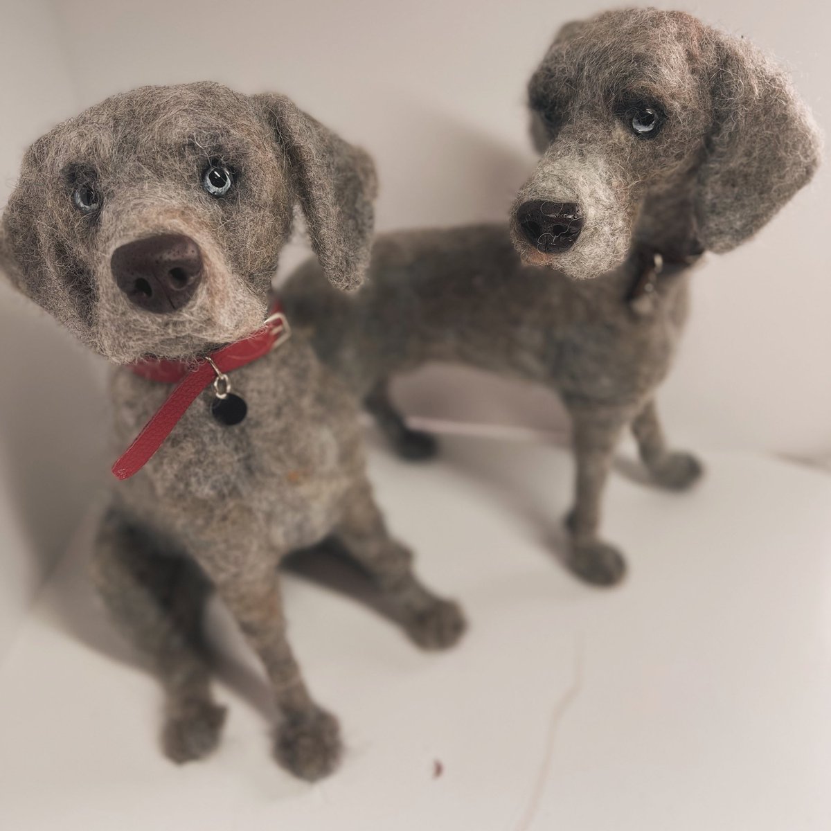 A couple of needle felted Weimaraner portraits