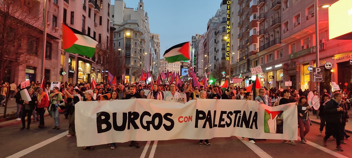 Transmaricabollo Sol tweet media