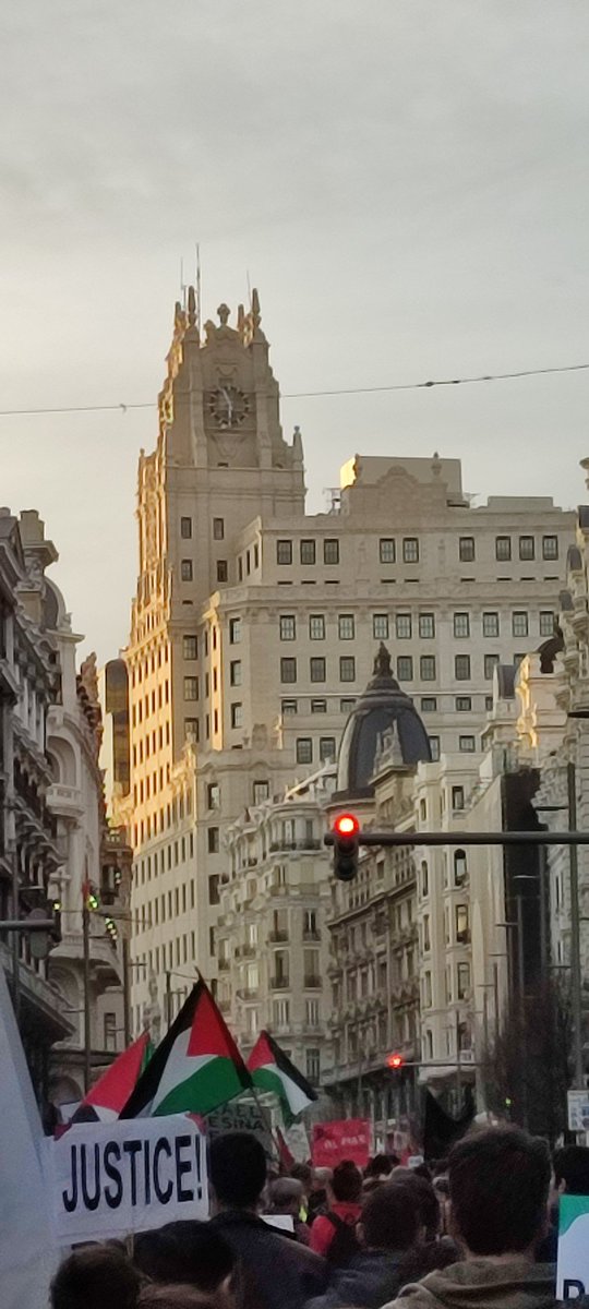 Transmaricabollo Sol tweet media