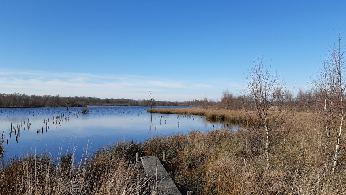 Lekker wandelen door de Peel 'while talking English', zondag 28 januari kun je weer mee met <a href="/walk_english/">Walk English</a> Start vanaf Hoeve Willem 3 Helenaveen, tevoren aanmelden via walkenglish.nl Wandelschoenen sterk aanbevolen. landvandepeel.nl/nl/de-regio/de…