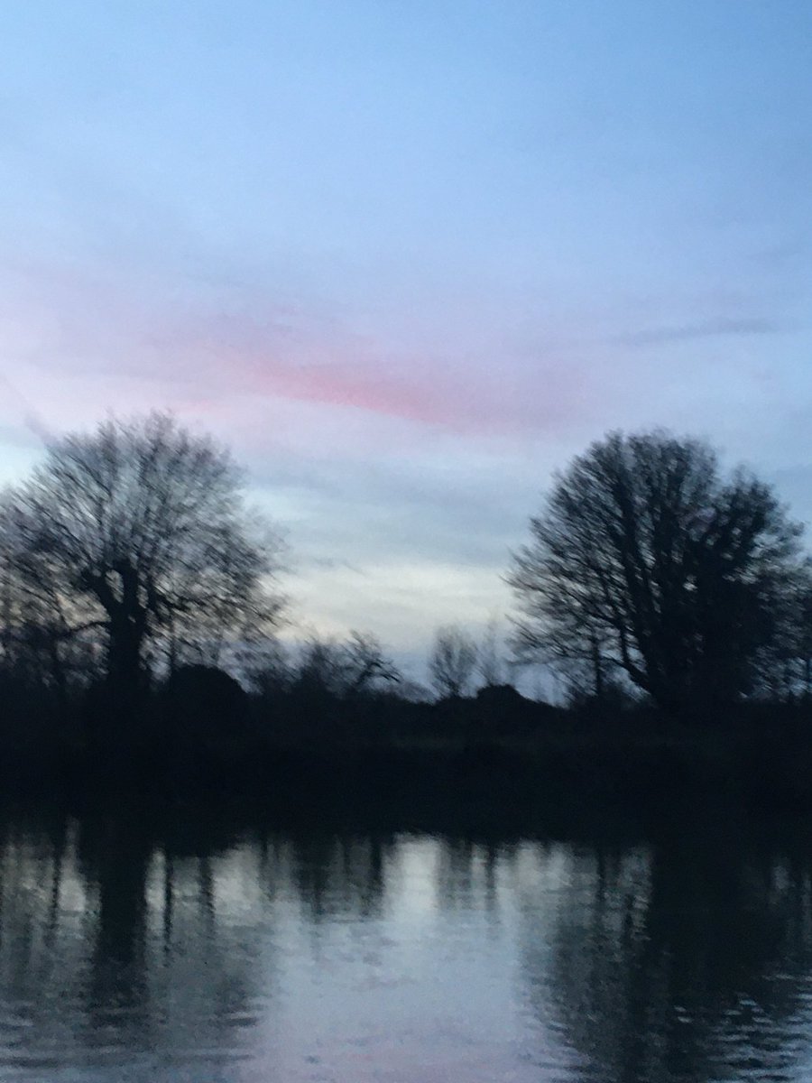AmandaHLondon's tweet photo. Cold but pretty #Januarysunset - still only dusk at 5pm now!
#naturephotography #hamptoncourt https://t.co/mJ99mK2zam
