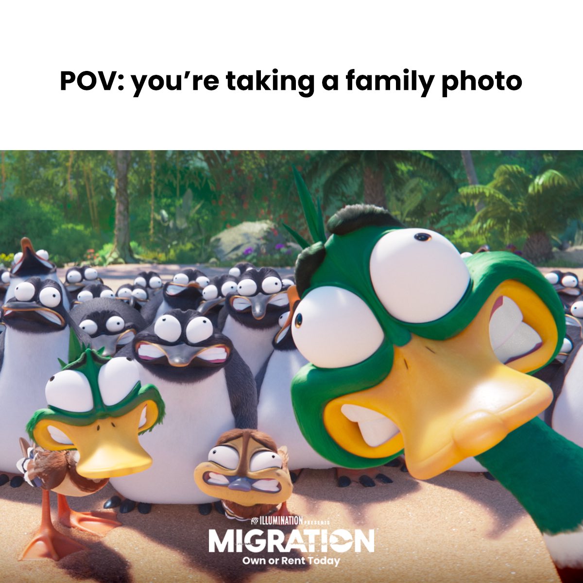 Migrationmovie's tweet image. When your mom tells you to smile bigger. 😃 Watch #MigrationMovie at Home Now, also in Theaters: migration.movie