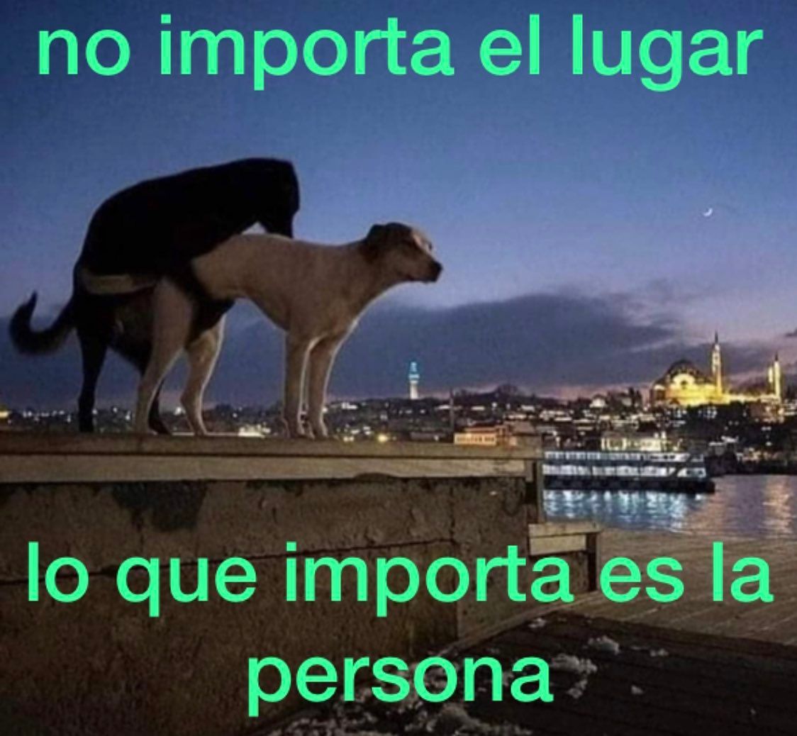 chincheto pirata somali (@wikipistacho) on Twitter photo 