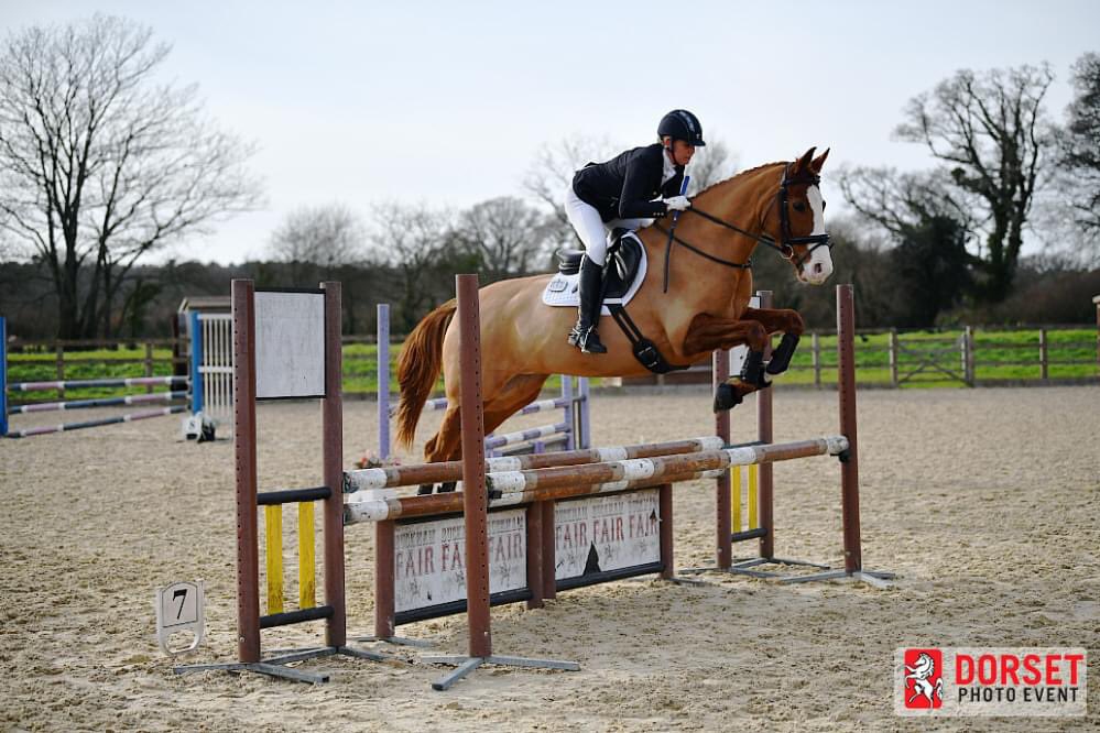 Top of the podium <a href="/britishdressage/">British Dressage</a> Red Gorilla Combined Training qualifier today 🎉🙌🎉🙌 <a href="/MoretonStables/">Moreton Equestrian</a> #winnerwinnerchickendinner @CathLabNewbie
