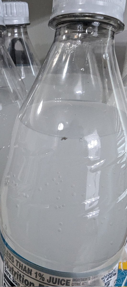 Heathenhkr tweet media