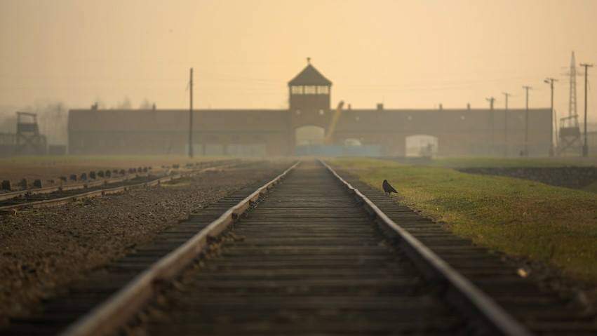 Never forget, never again! #holocaust #remembranceday