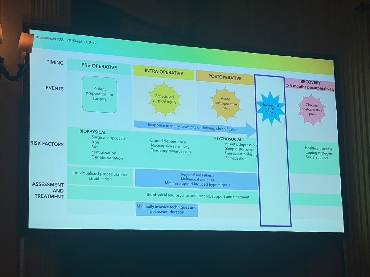 _anapatriciaper's tweet photo. @claralexlobo on transitional pain services. Amazing lesson! How to identify pts at risk? Pre? Post-op? Do we have the resources? TPSs have positive impact and are cost-effective. We need to sensitise officers for institutional support which is paramount to implementation #WDRAPM https://t.co/etmU10sCr5