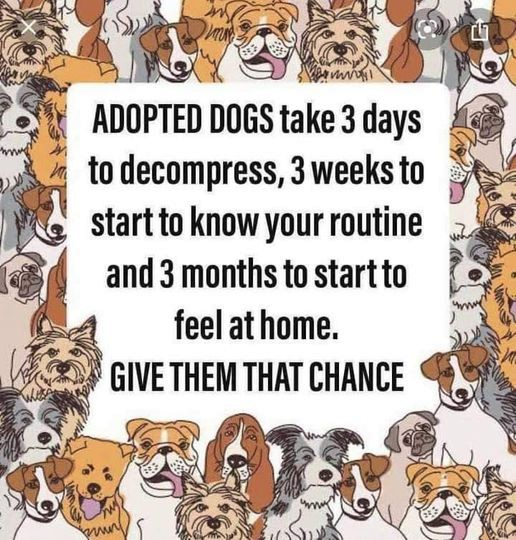 woofknight's tweet photo. https://t.co/Xznf7dgxt2