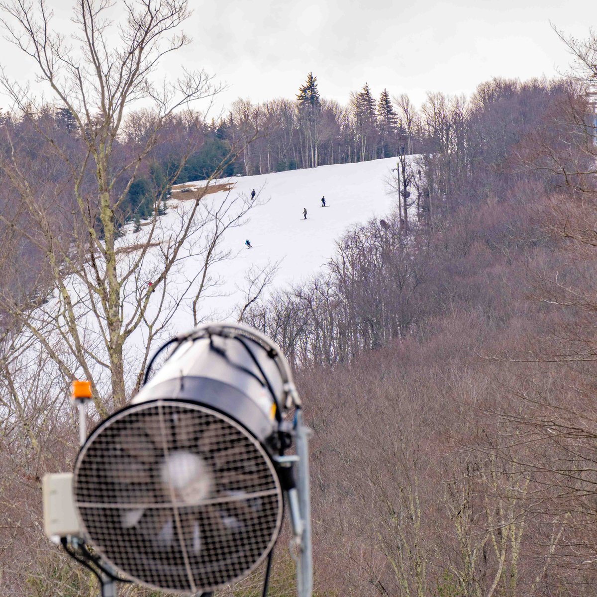 If it wasn't for the hard working mountain operation teams throughout #CanaanValley, there wouldn't be any of this.
Thank you!
#ski #snowboard #gettuckered