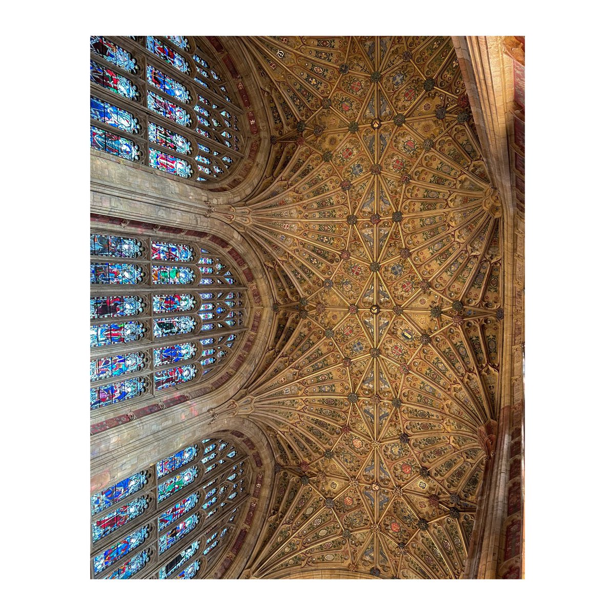 Confirmation service in Sherborne Abbey this morning. Exquisite fan vaulting cascades above you at every turn - was hard to keep my eyes on the words.
