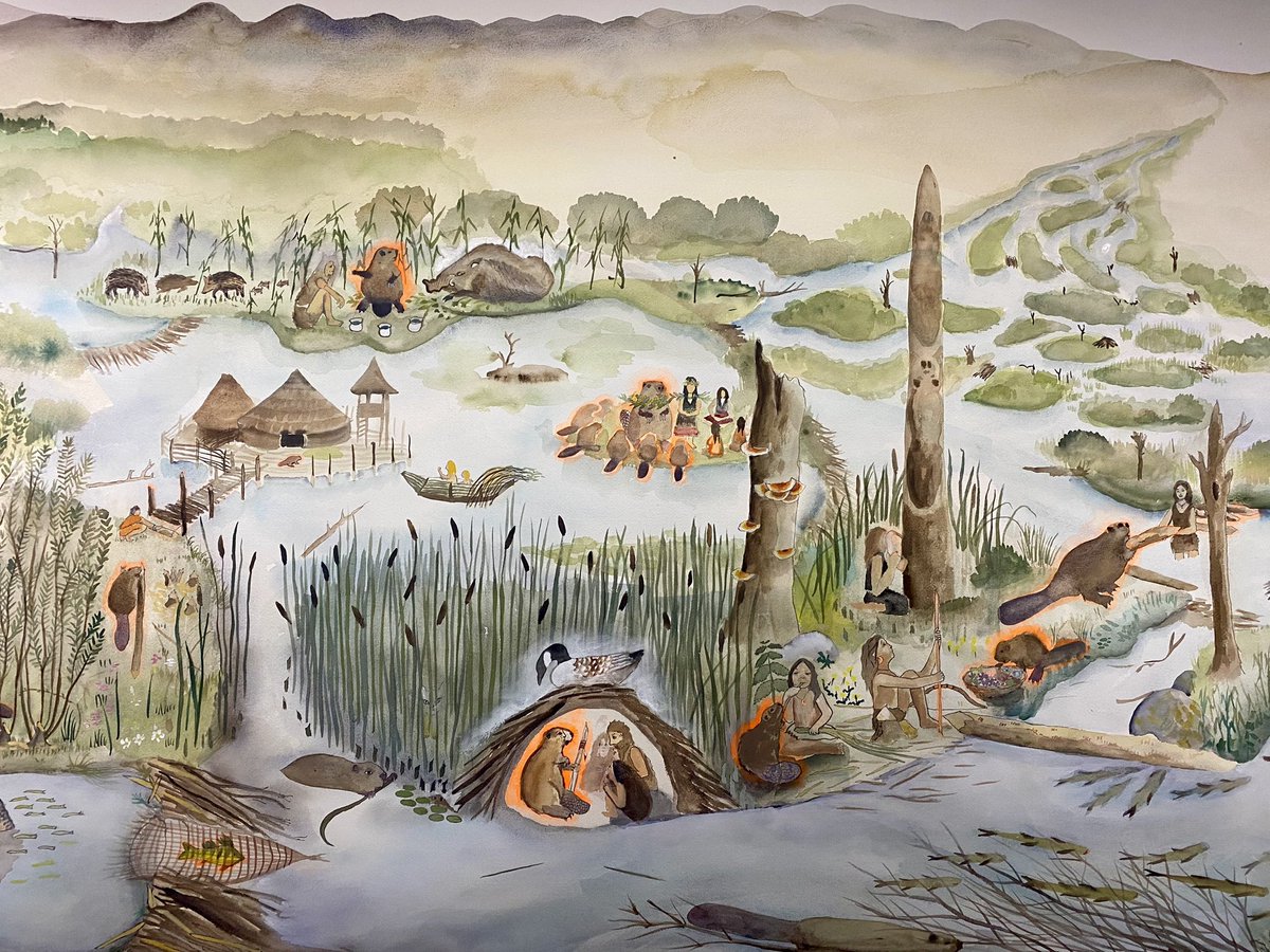Guiguiii94's tweet photo. Pour bien démarrer l’année, le @DrawingLabParis présente la très belle, militante et poétique expo « Le temps profond des rivières » de #SuzanneHusky (1975-), Prix Drawing Now 2023.

Des aquarelles naturalistes qui réaffirment la place millénaire du castor dans le cycle de l’eau. https://t.co/jtMkoAsfqn