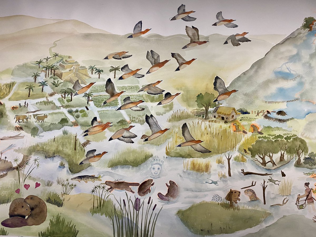 Guillaume Giraudon (@guiguiii94) on Twitter photo Pour bien démarrer l’année, le <a href="/DrawingLabParis/">Drawing_Lab_Paris</a> présente la très belle, militante et poétique expo « Le temps profond des rivières » de #SuzanneHusky (1975-), Prix Drawing Now 2023.
Des aquarelles naturalistes qui réaffirment la place millénaire du castor dans le cycle de l’eau. Pour bien démarrer l’année, le <a href="/DrawingLabParis/">Drawing_Lab_Paris</a> présente la très belle, militante et poétique expo « Le temps profond des rivières » de #SuzanneHusky (1975-), Prix Drawing Now 2023.
Des aquarelles naturalistes qui réaffirment la place millénaire du castor dans le cycle de l’eau.